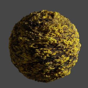 Gorse Bush PBR Texture