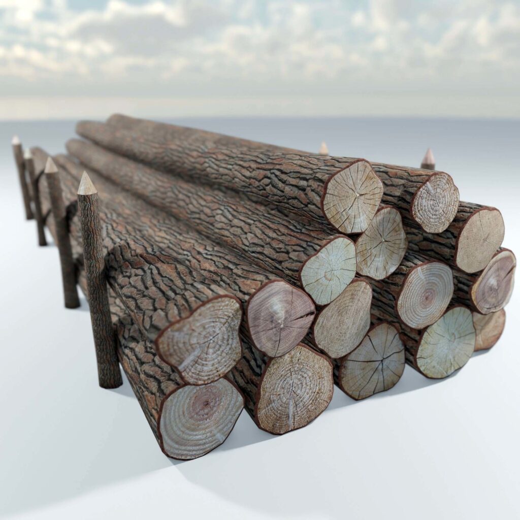 3D Models of Logs